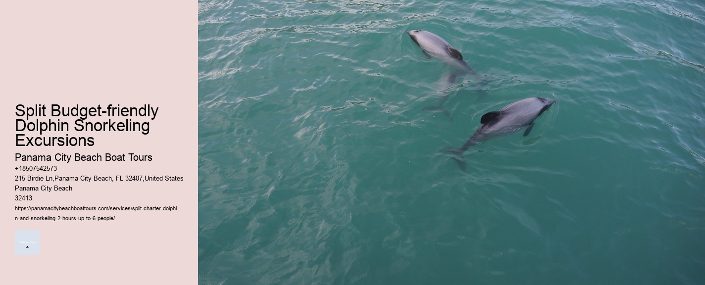 Split Budget-friendly Dolphin Snorkeling Excursions