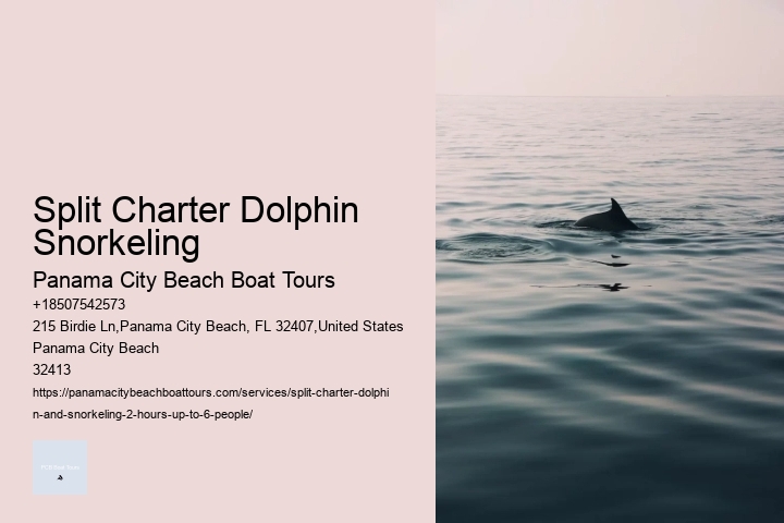 Split Charter Dolphin Snorkeling Panama City Beach Boat Tours Split Charter Dolphin Snorkeling