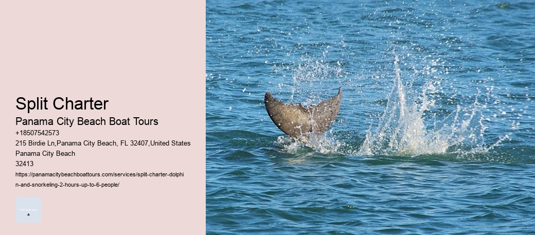 Split Charter Panama City Beach Boat Tours Split Charter