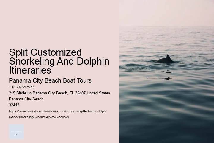 Split Customized Snorkeling And Dolphin Itineraries Panama City Beach Boat Tours Split Customized Snorkeling And Dolphin Itineraries