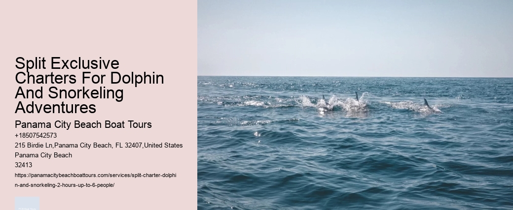 1 Dolphin Court Nantucket