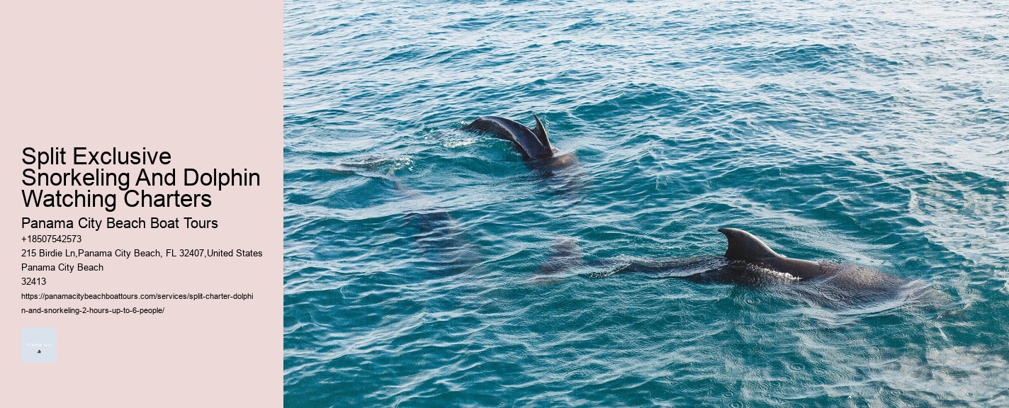 A Helping Flipper: Why Do Dolphins Save Humans