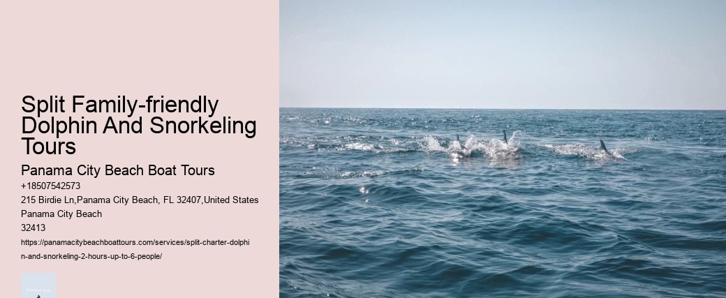 Split Family-friendly Dolphin And Snorkeling Tours Panama City Beach Boat Tours Split Family-friendly Dolphin And Snorkeling Tours