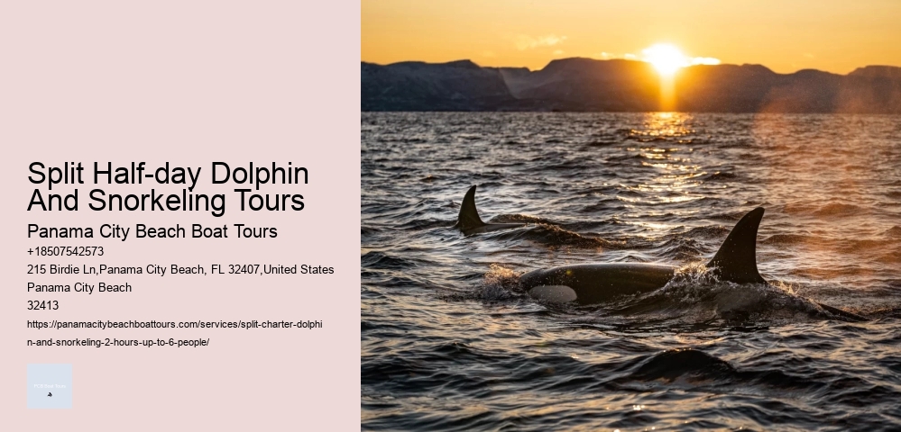 Blue Dolphin Charters Tours