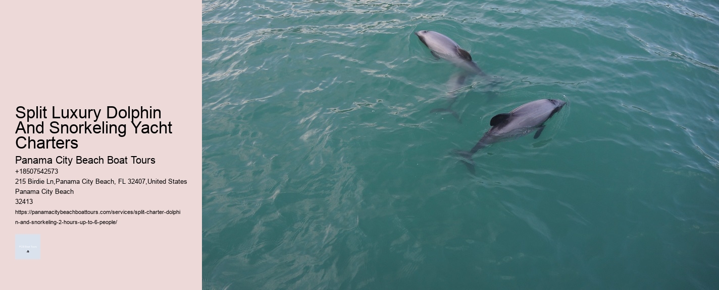 Split Luxury Dolphin And Snorkeling Yacht Charters