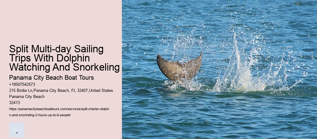 Split Multi-day Sailing Trips With Dolphin Watching And Snorkeling Panama City Beach Boat Tours Split Multi-day Sailing Trips With Dolphin Watching And Snorkeling