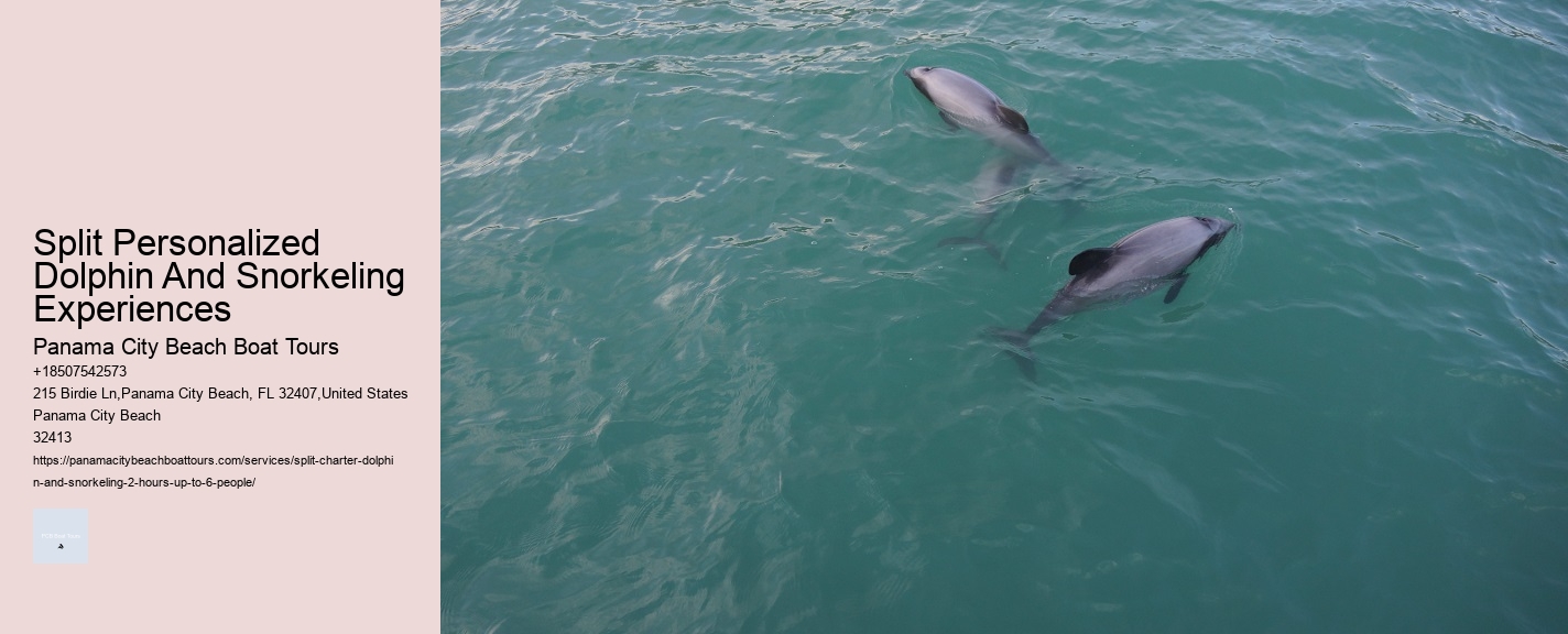 The Ugly Truth About Dolphin Shows