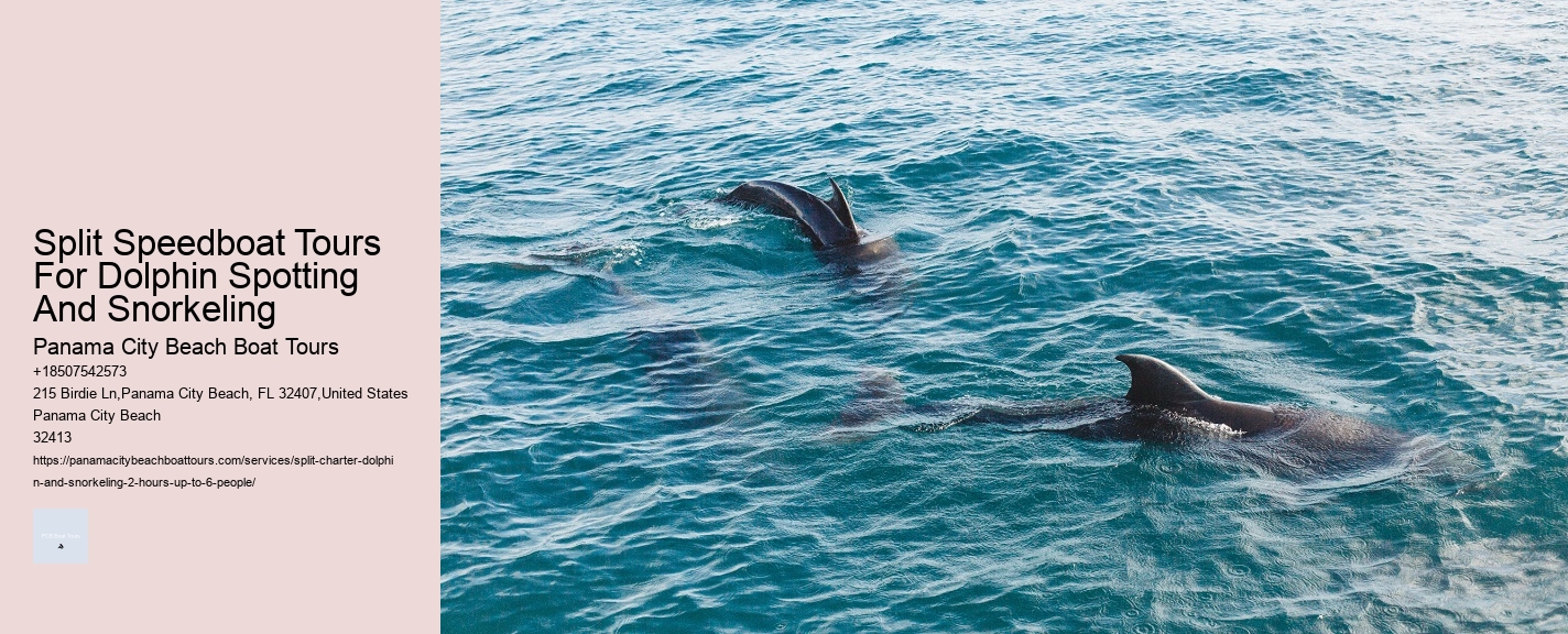 Split Speedboat Tours For Dolphin Spotting And Snorkeling Panama City Beach Boat Tours Split Speedboat Tours For Dolphin Spotting And Snorkeling