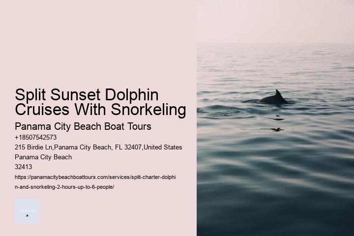 Split Sunset Dolphin Cruises With Snorkeling