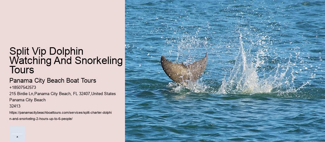 Panama City Dolphin Seafari Tours