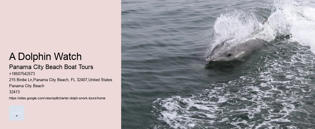 Dolphin-safe Ways To Protect Yourself From The Sun