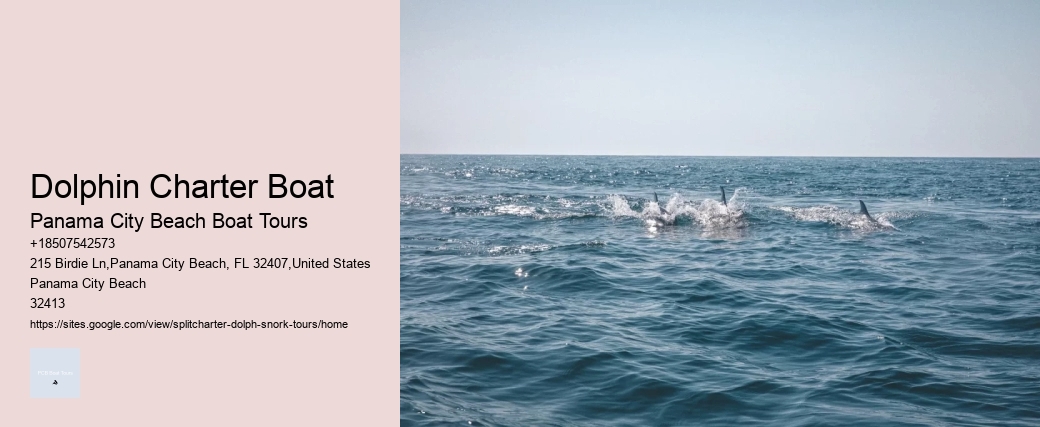 Dolphin Charter Boat