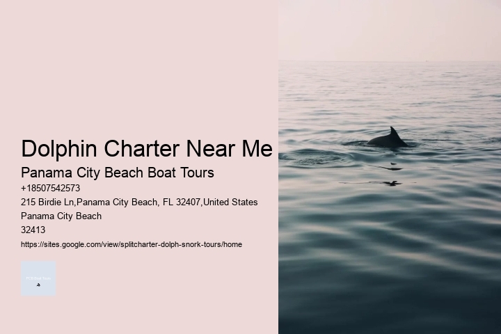Dolphin Charter Near Me