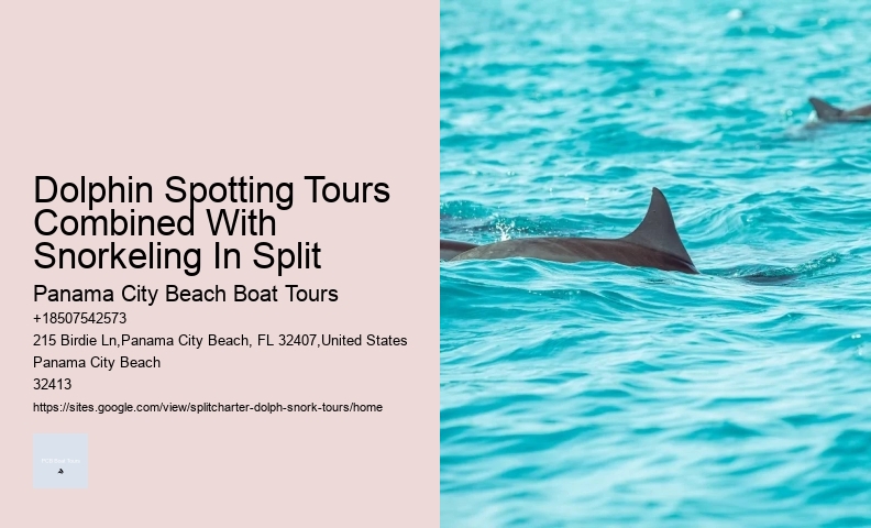 Dolphin Tours Hatteras Nc