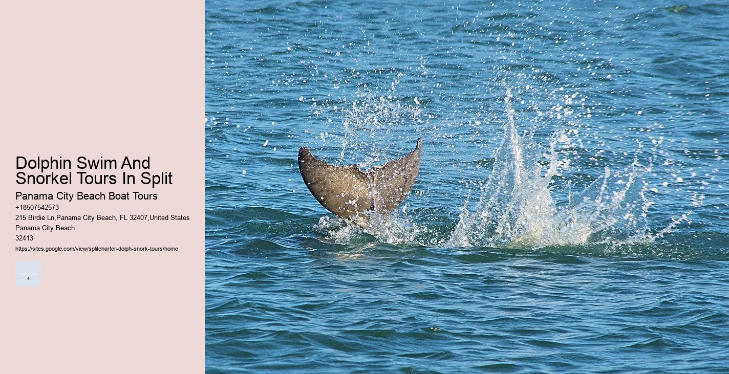 Why Do Dolphins And Orcas Sometimes Get Caught By Fish Hooks