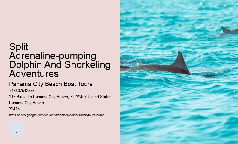 What Time Of Day Are Whales Most Active In California