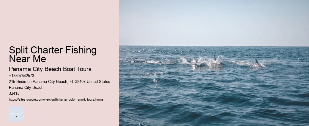 Split Adventurous Dolphin And Snorkeling Excursions