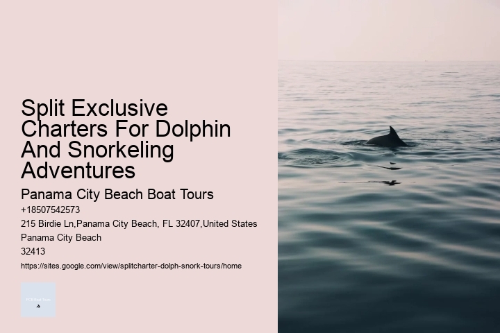 Split Exclusive Charters For Dolphin And Snorkeling Adventures