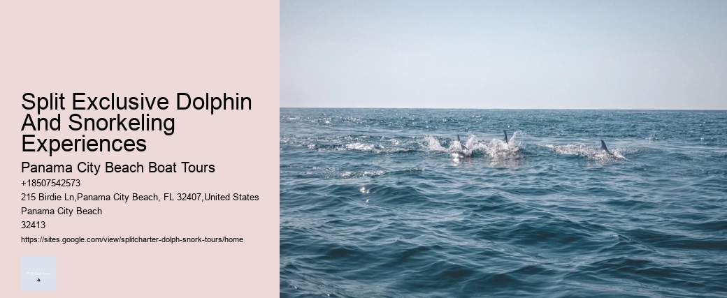 Jet Ski Dolphin Tours Near Me