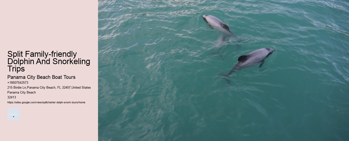 Split Family-friendly Dolphin And Snorkeling Trips
