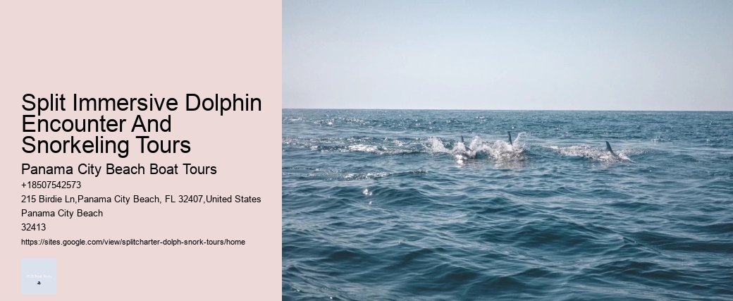 Dolphin And Snorkeling Tour