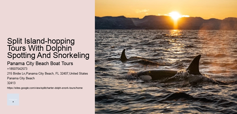 Dolphins Are Bullies: 7 Shocking Reasons Why