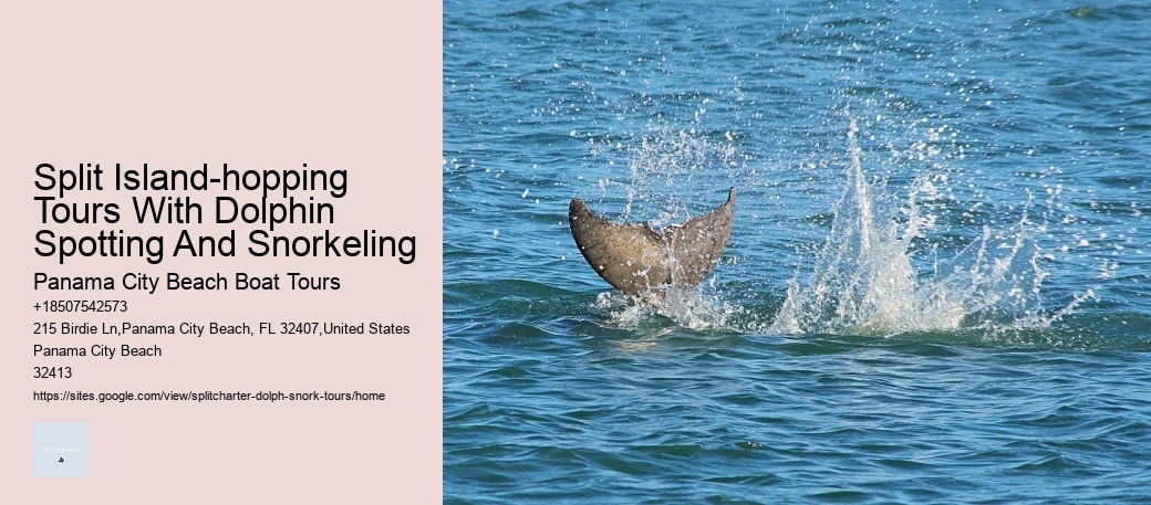 Split Island-hopping Tours With Dolphin Spotting And Snorkeling