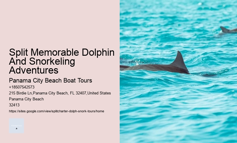 Appreciating Dolphins