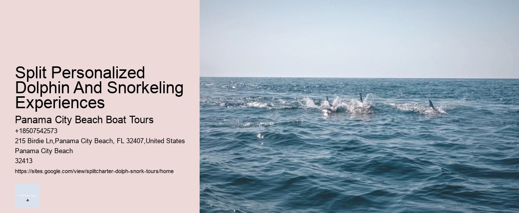 Why You Shouldn't Swim With Dolphins