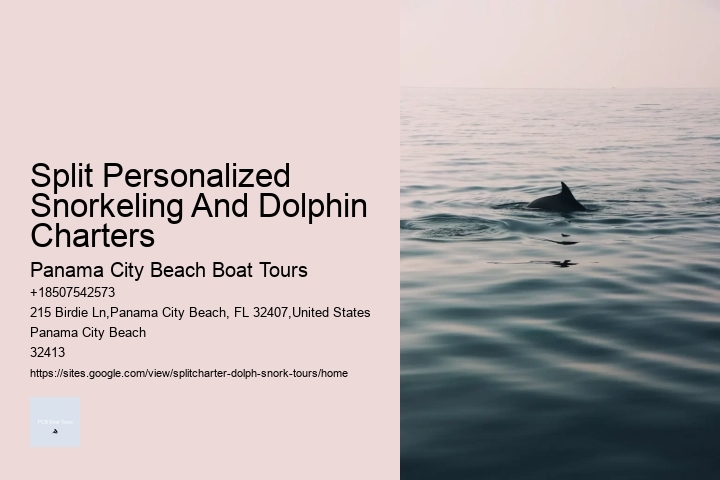 Split Personalized Snorkeling And Dolphin Charters