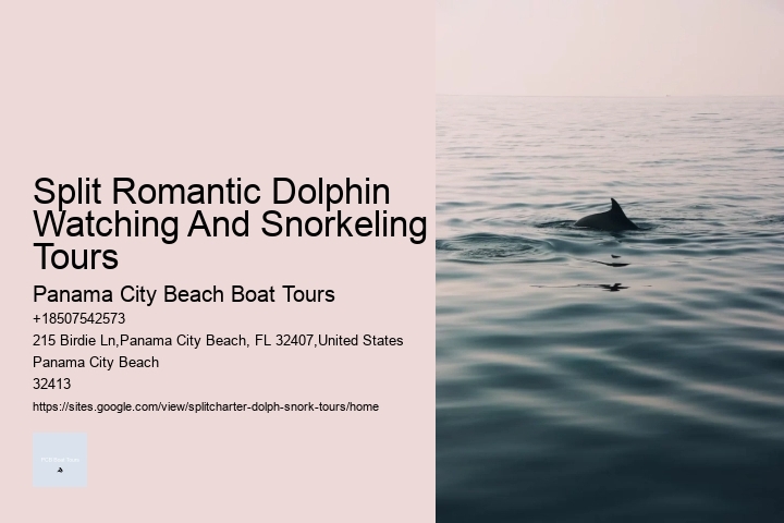 Split Romantic Dolphin Watching And Snorkeling Tours