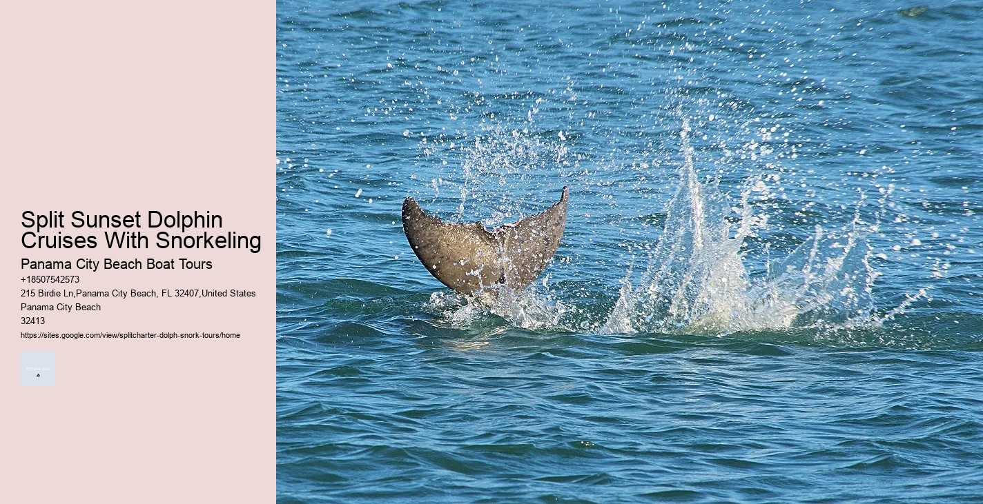 Dolphin Tours Ocean City Nj