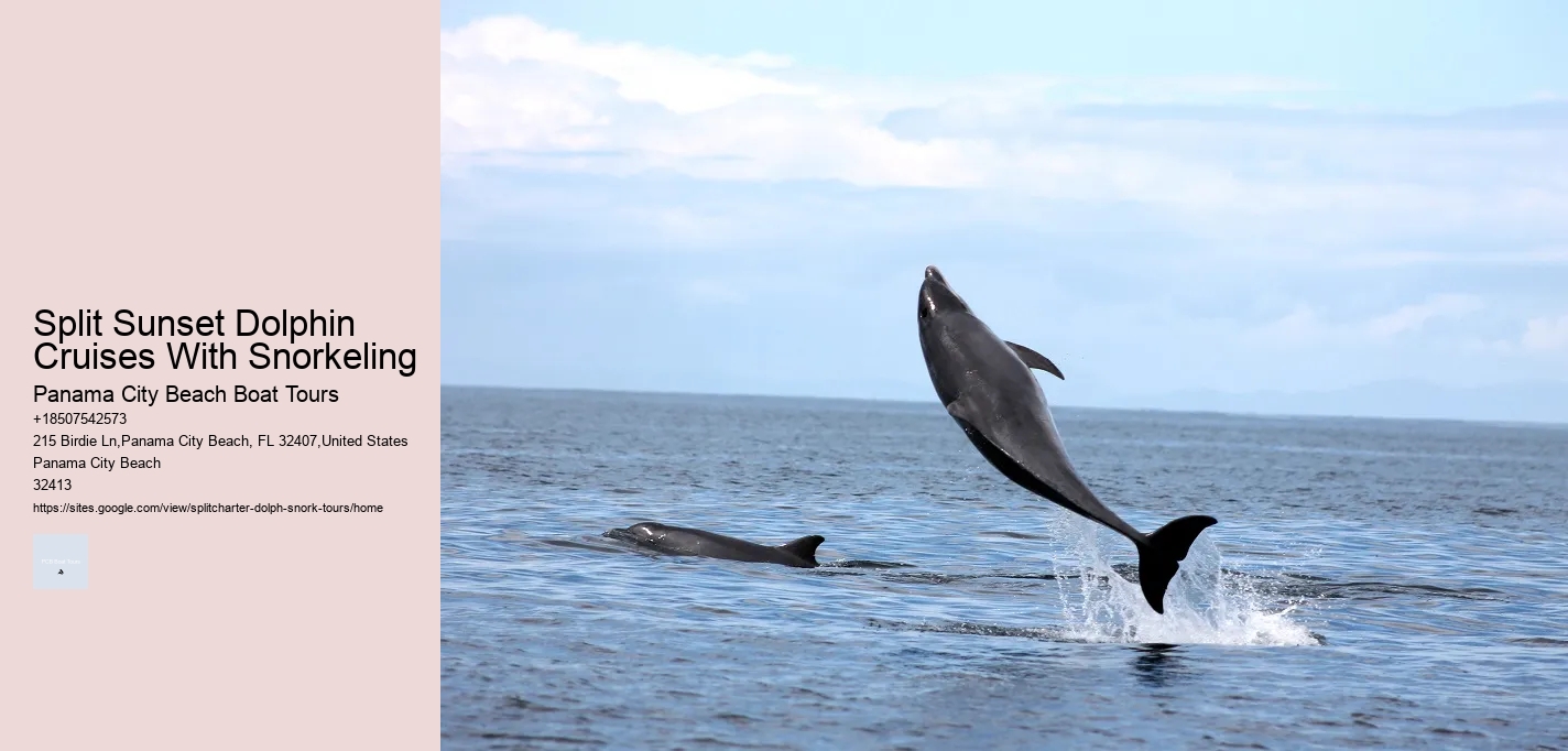 Split Sunset Dolphin Cruises With Snorkeling