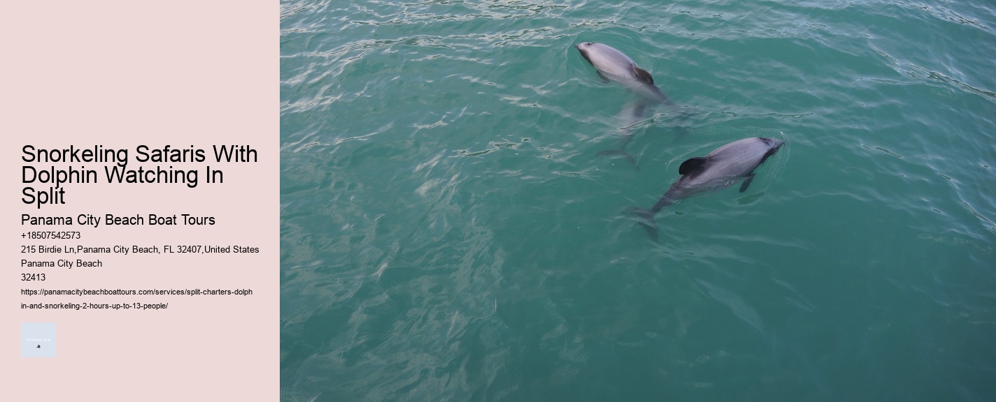 Snorkeling Safaris With Dolphin Watching In Split