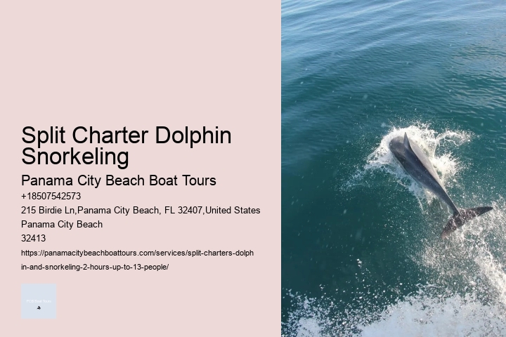 Experts Say Dolphins May Detect Human Pregnancies